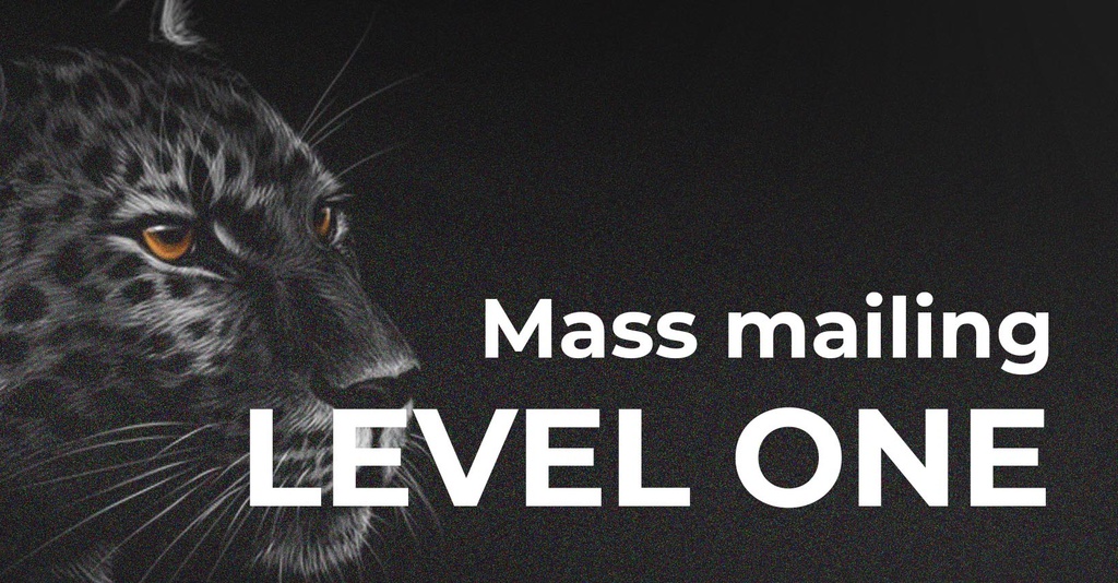 LEVEL ONE